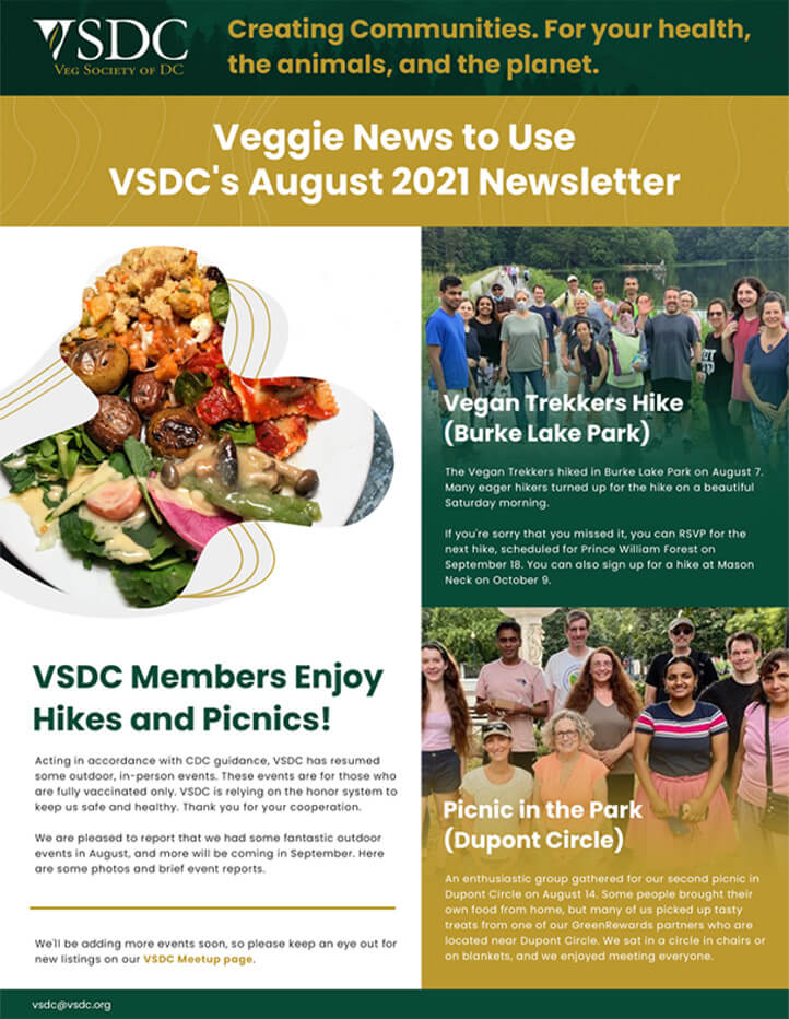 vsdc-newsletter